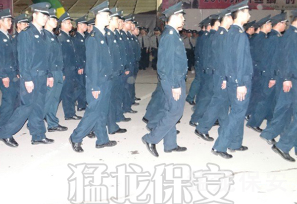 临时重大活动安保服务 临时重大活动安保服务