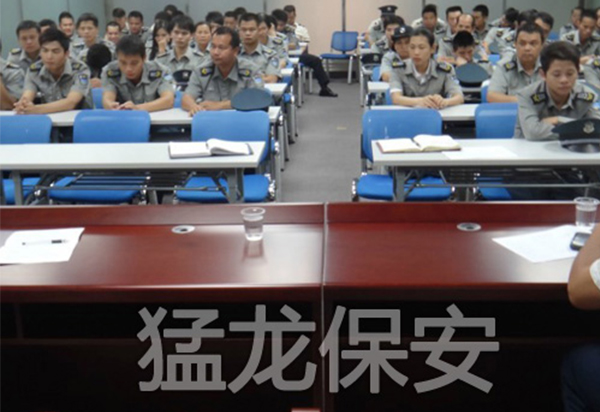安全顾问服务